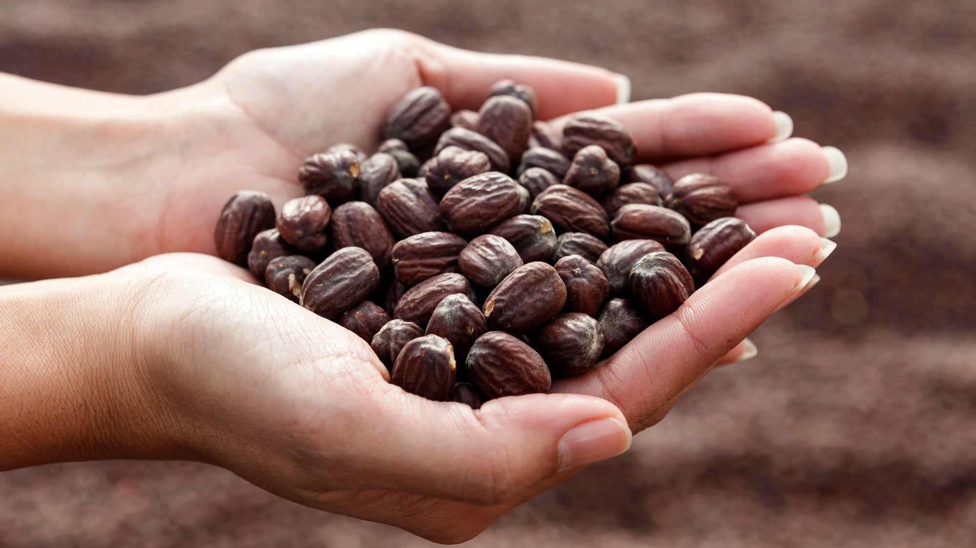 オンラインストアがオープンしました