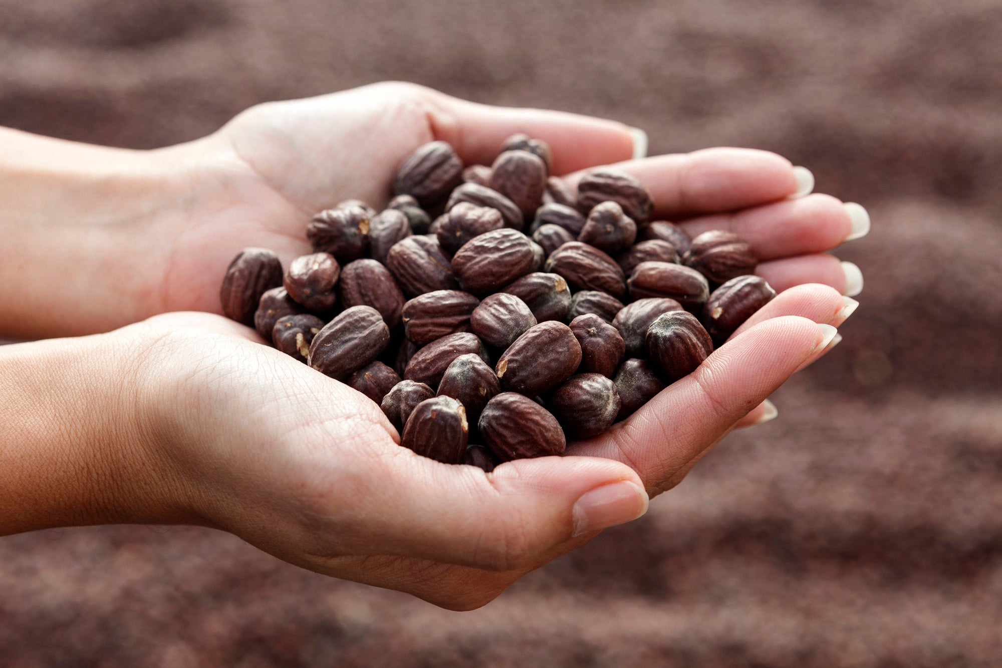 オンラインストアがオープンしました