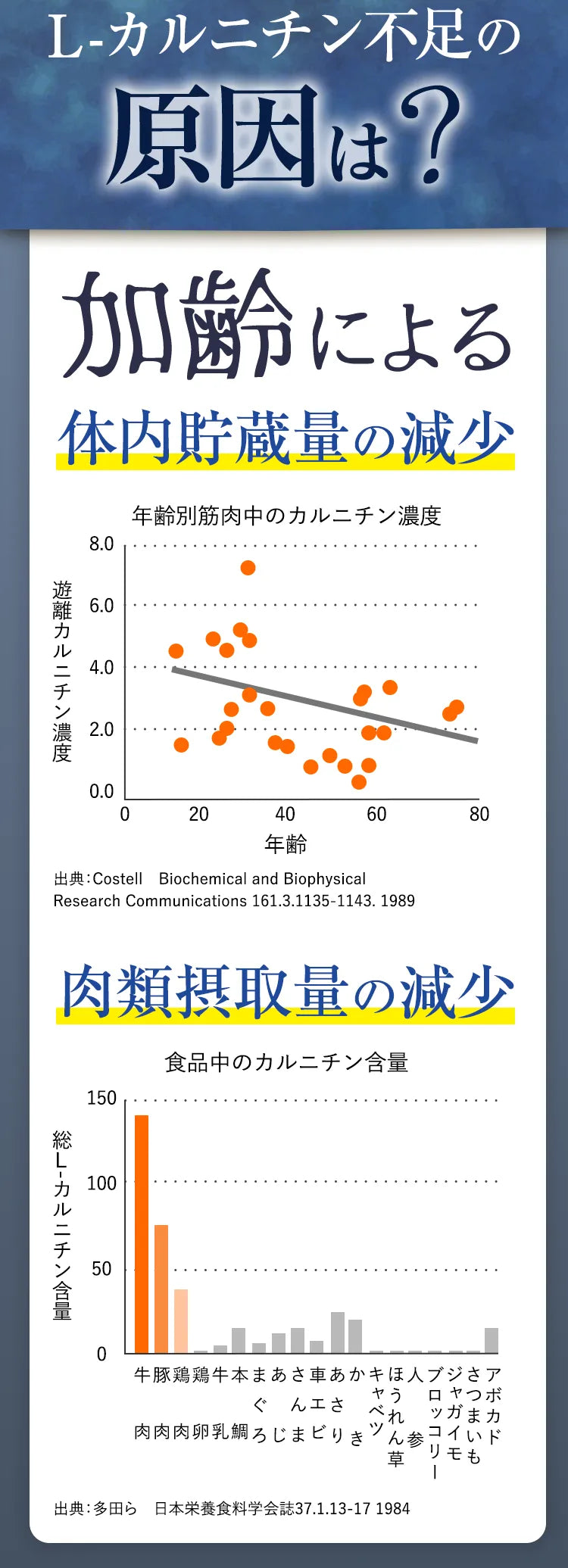 L-カルニチン不足の原因は？ 加齢による体内貯蔵量の減少 肉類摂取量の減少